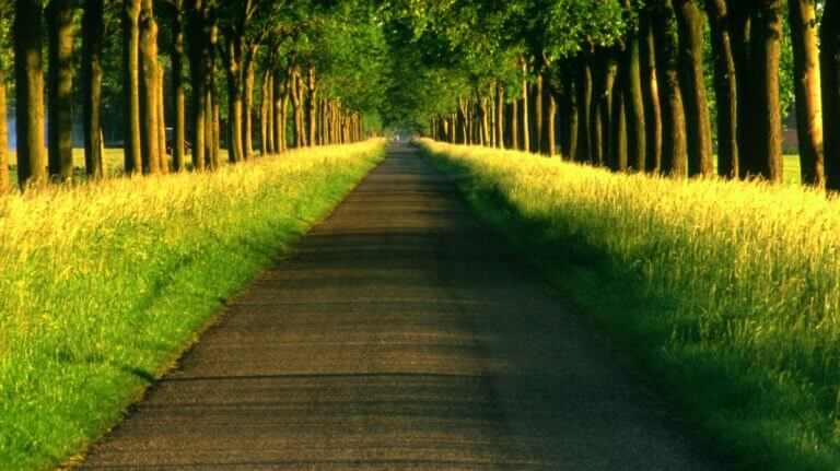 No momento, você está visualizando O Caminho do Amor